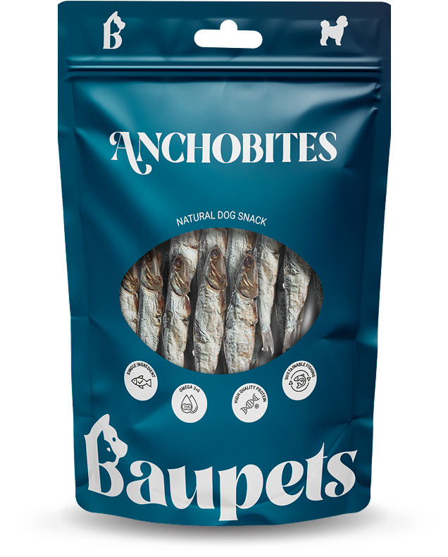Anchobites