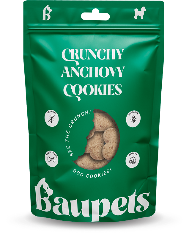 Crunchy Anchovy Cookies